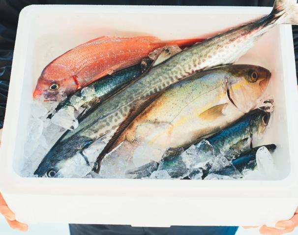鮮魚BOX