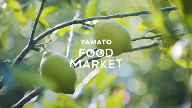 仕入れ食材 瀬戸内レモン 甲斐農園 甲斐さん